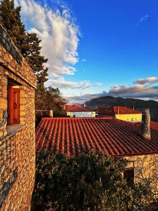 Pinelopi Apartments Arachova Exterior photo