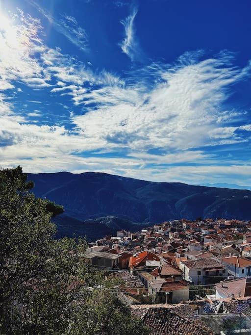 Pinelopi Apartments Arachova Exterior photo